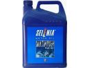 Моторное масло Selenia Multipower 5W30 / 10465015 (5л)