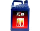 Моторное масло Selenia 20K 10W40 / 10725015 (5л)